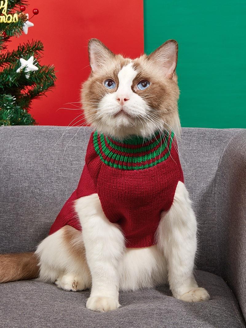 Christmas Pet Sweater • Knit Snowman & Pom-Pom Hat