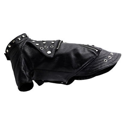 Dog Leather Jacket with Studs – Punk Rock Style