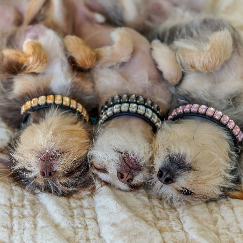 Dog Collars Luxury Rhinestone