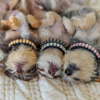 Dog Collars Luxury Rhinestone