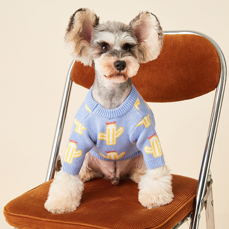 Dog sweater blue cactus