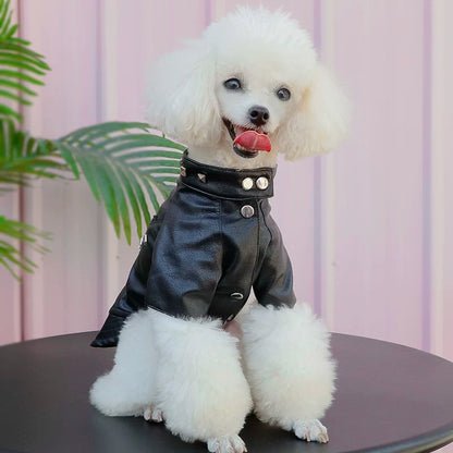 Dog Leather Jacket with Studs – Punk Rock Style