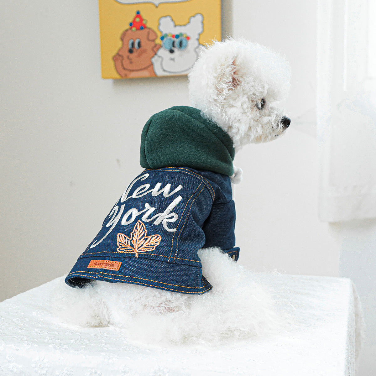 Denim Dog Hoodie Jacket Outfit