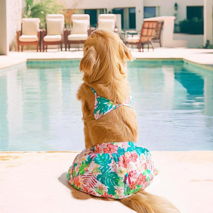 Dog bikini Hawaii beach swim wear for Large dog