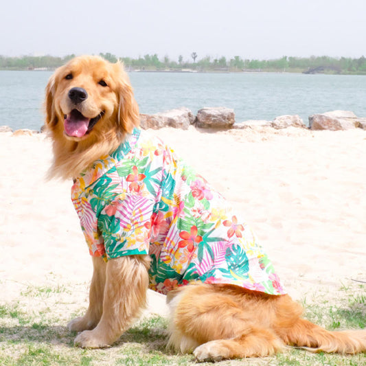 Dog Hawaii beach shirt 3 colors