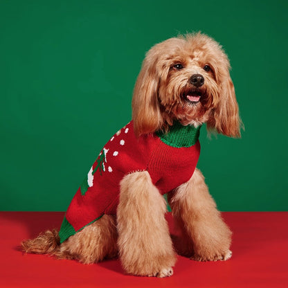 Christmas Pet Sweater • Reindeer Knit & Green Trim