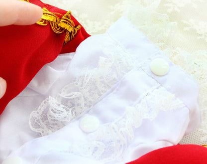 Red French Court Dog Tailcoat Suit