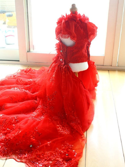 Handmade Ruby Rose Royal Dog Dress – Luxury Red Floral Wedding Gown with Crystal Train