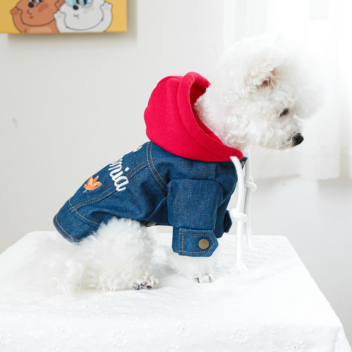 Denim Dog Hoodie Jacket Outfit