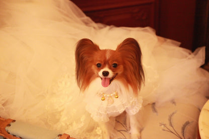 Handmade Ivory Angel Bridal Dog Dress – Luxury Long Train Wedding Gown for Dogs