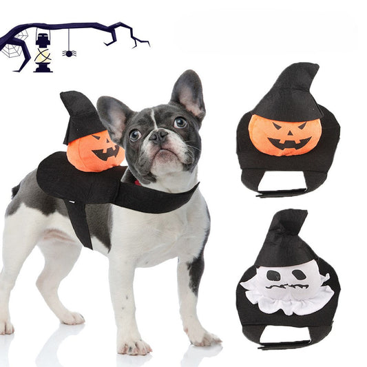Dog Pumpkin Rider Costume