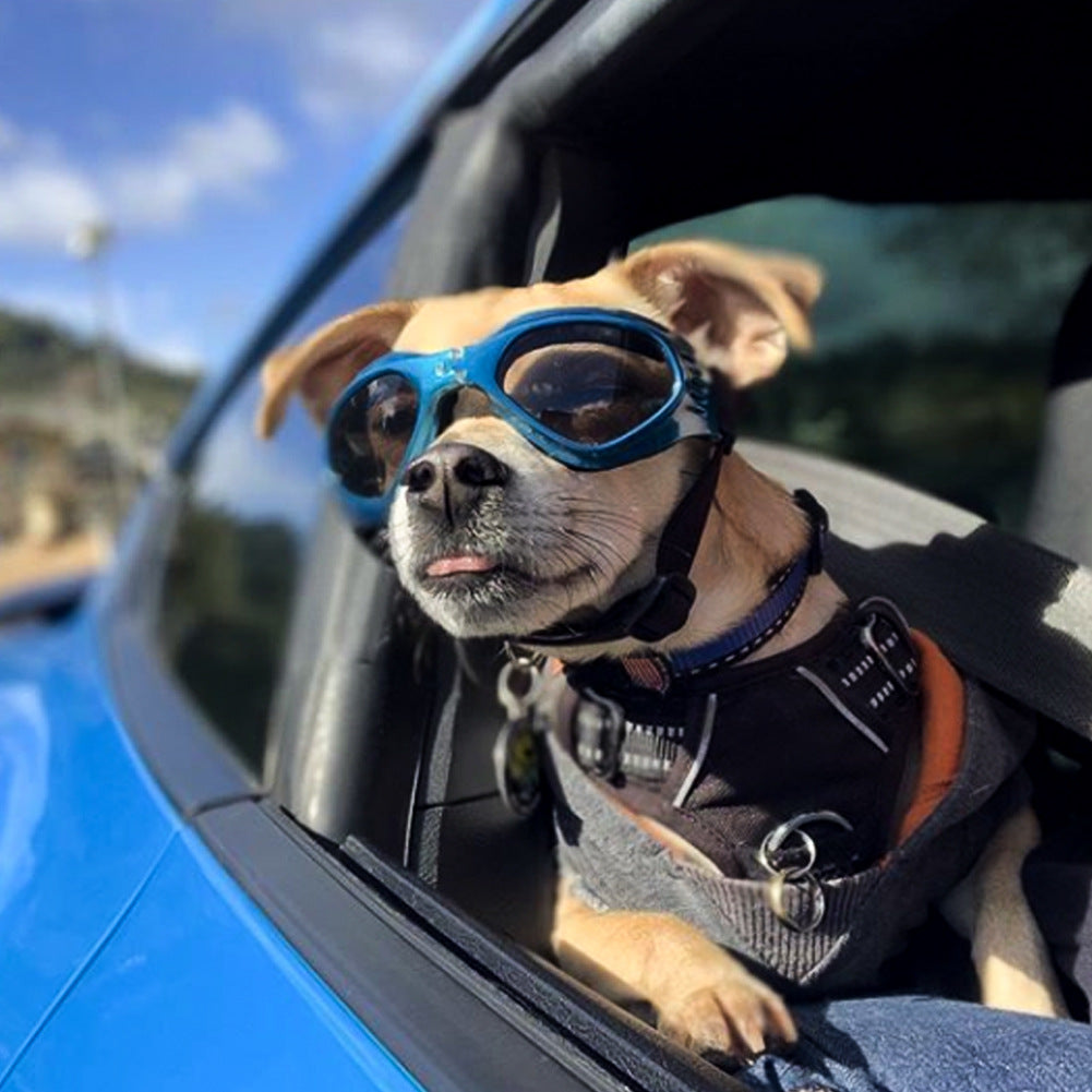 Dog goggles sunglasses cool accessories