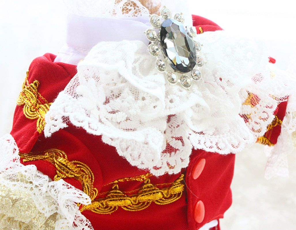 Red French Court Dog Tailcoat Suit