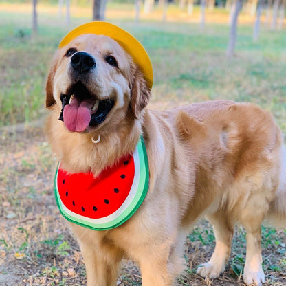 Funny Cartoon Dog Bandana Bibs (4 Designs)