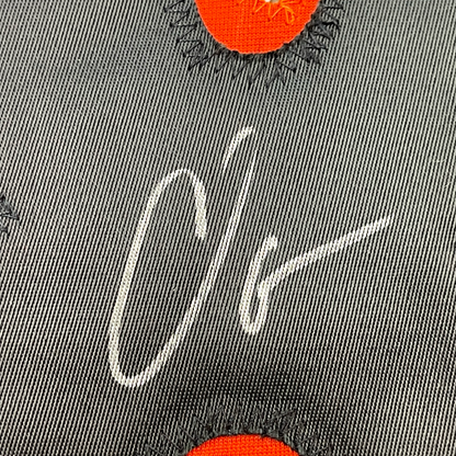 Framed Autographed/Signed Chad Ochocinco (Johnson) 35x39 Cincinnati White Football Jersey JSA COA