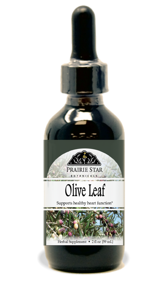 Olive Leaf