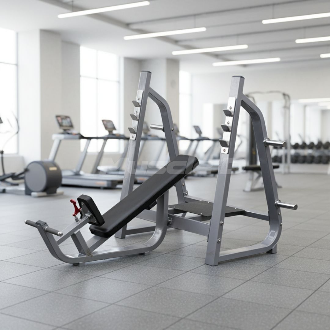 Olympic Incline Bench - Muscle D Fitness - 11 Gauge Steel - Commercial Upholstery - Weight Storage Pegs