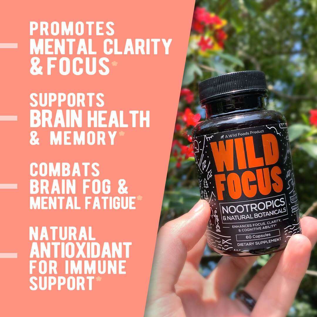 Wholesale Case of 12 - Wild Focus Nootropic Blend