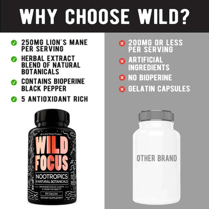 Wholesale Case of 12 - Wild Focus Nootropic Blend