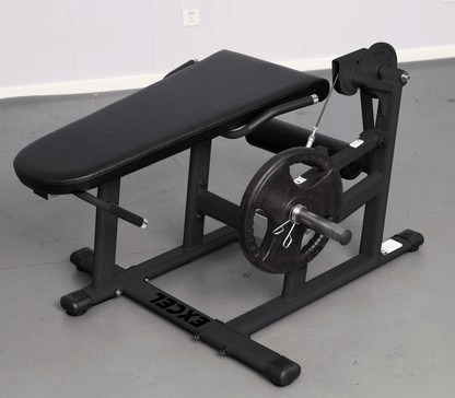 Excel Base Leg Extension / Leg Curl Combo | Muscle D Fitness Machine