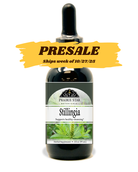 Stillingia