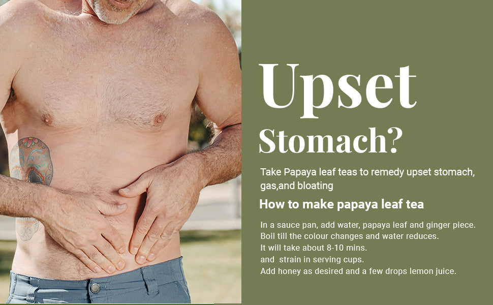 Akshit  Papaya Leaves, Hojas de papaya, 2.6oz, Dried From Green Papaya Leaf, Herbal Tea, Non GMO, Caffeine free, Sugar free, Rich In Vitamins.