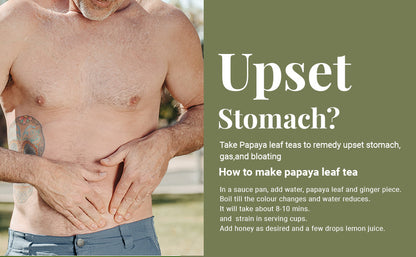 Akshit  Papaya Leaves, Hojas de papaya, 2.6oz, Dried From Green Papaya Leaf, Herbal Tea, Non GMO, Caffeine free, Sugar free, Rich In Vitamins.