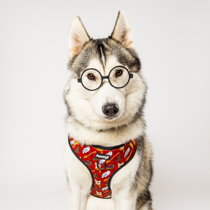 Pawgwarts Everyday Adjustable No-Pull Dog Harness