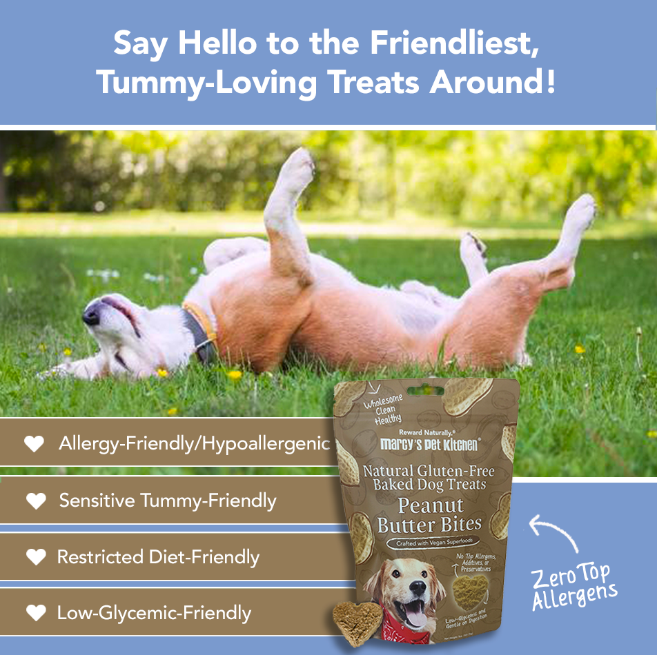 Marcy's Pet Kitchen® - 'On-The-Go' All-Natural, Vegan Peanut Butter Biscuit