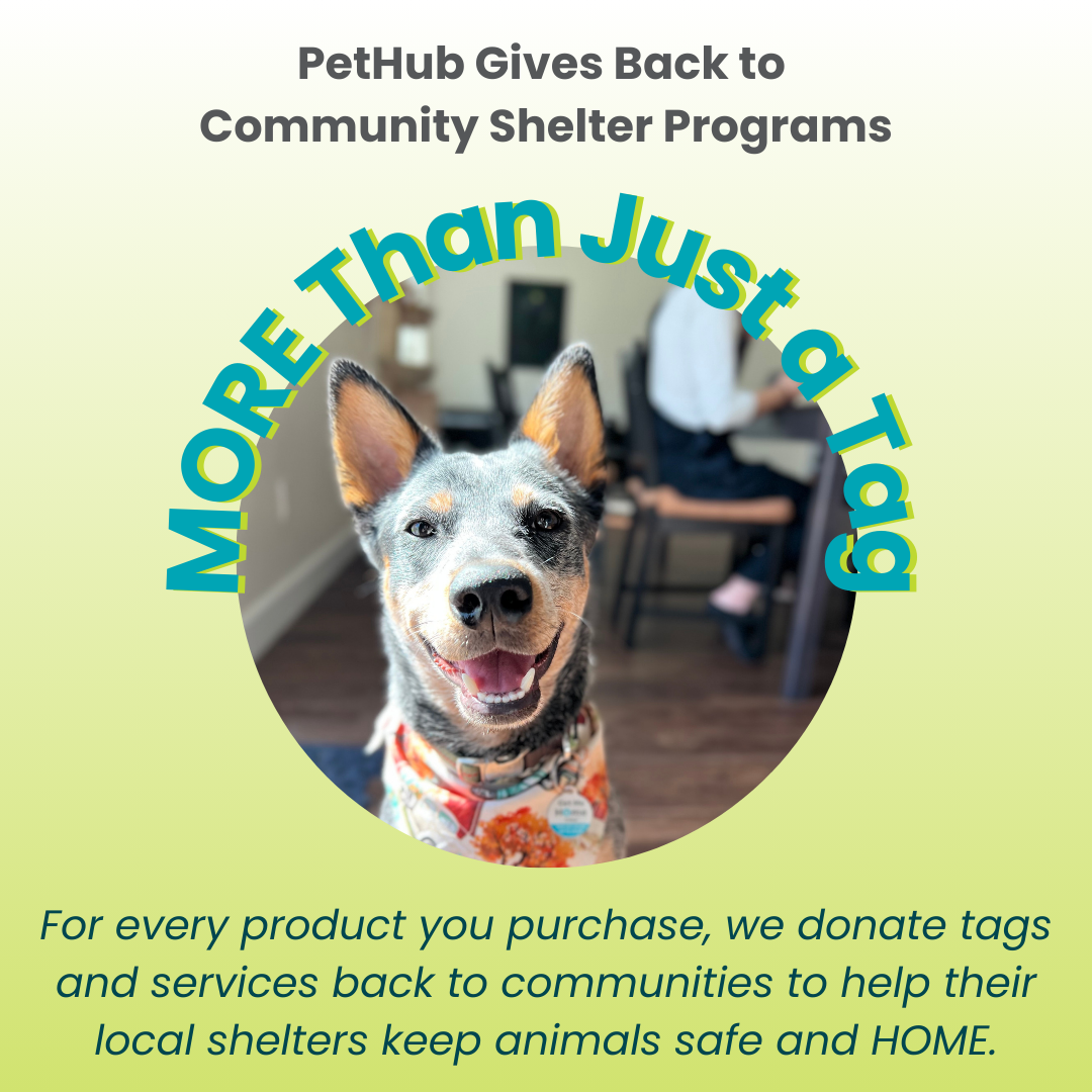 PetHub QR Pet ID Tag – Original Get Me Home Club