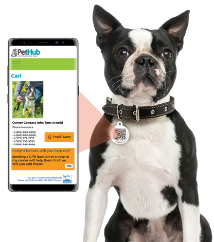 PetHub QR Pet ID Tag – Get Me Home Club