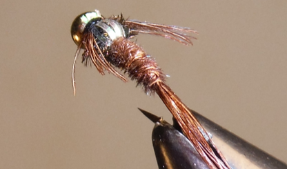 Pheasant Tail - Flashback