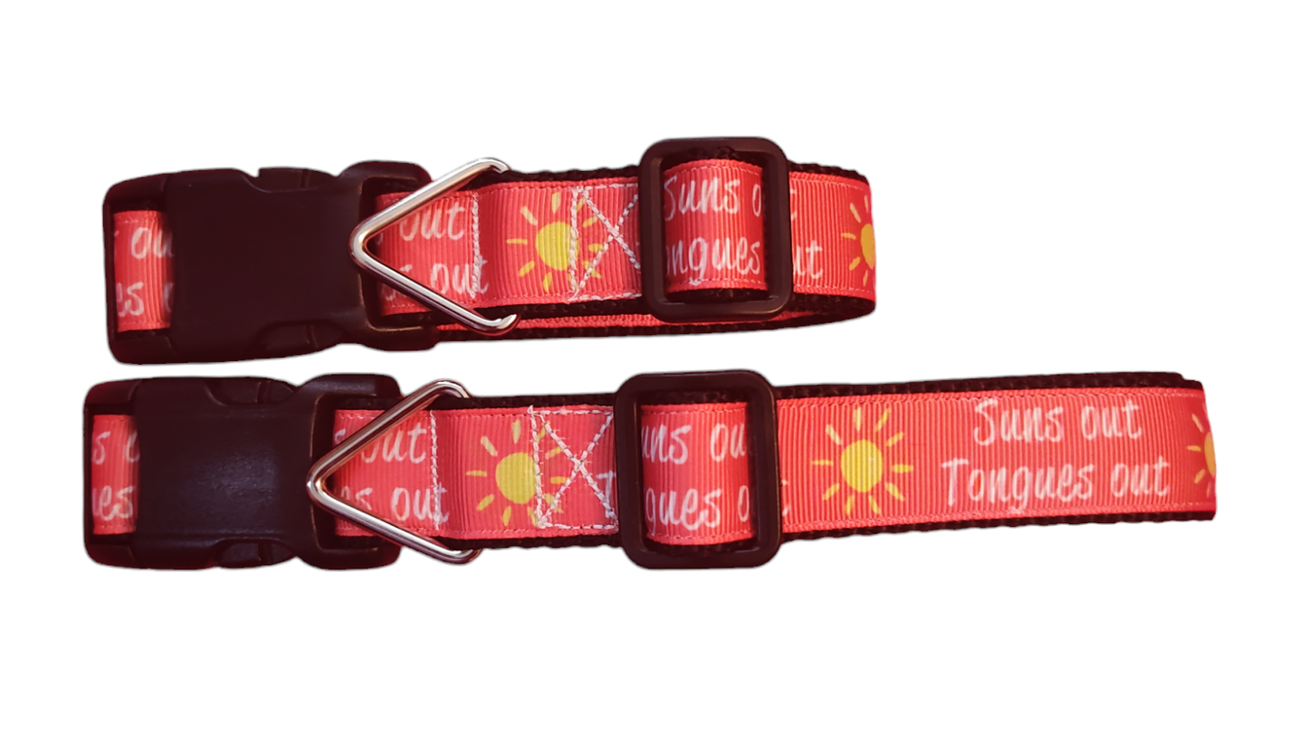 Sun's Out Tongue's Out Black Nylon Dog Collar MD, LG, XL, Leash