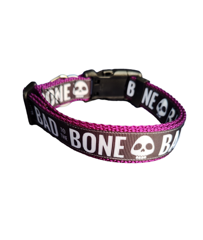 Bad To The Bone Purple Nylon Dog Collar MD, LG, XL, Leash