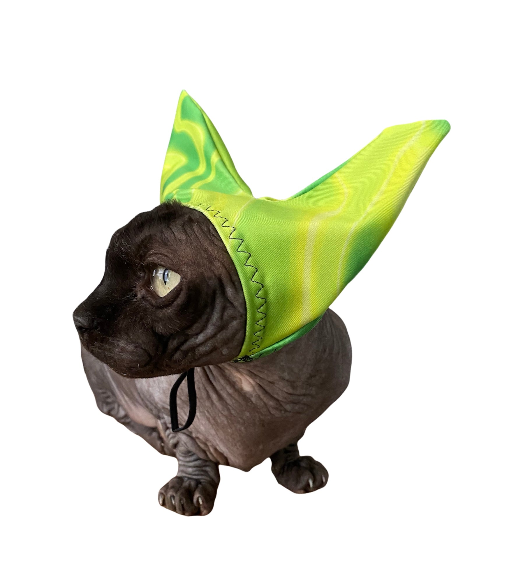 4-ALL PETS SHOWER / EAR / SUN CAP! - Triathlete Store