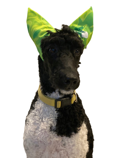 4-ALL PETS SHOWER / EAR / SUN CAP! - Triathlete Store