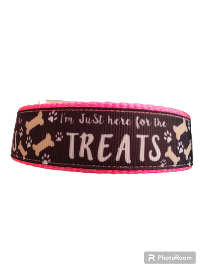 Here For The Treats Hot Pink Nylon Dog Collar MD, LG, XL, Leash