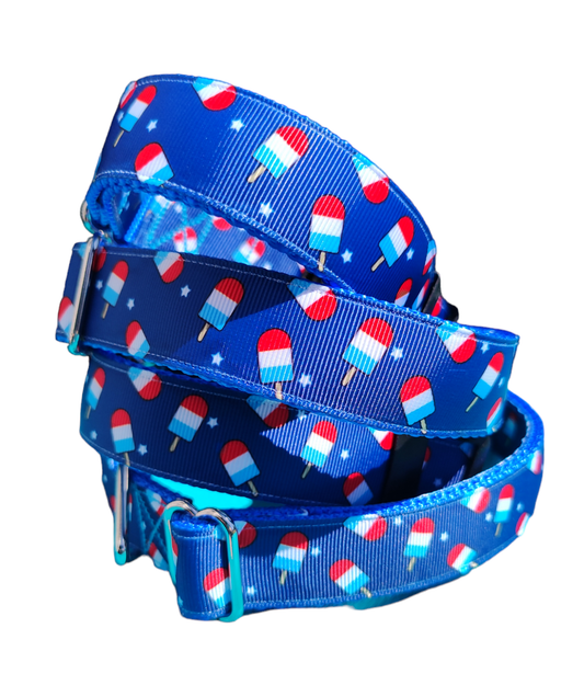 Summer Pop Blue Nylon Dog Collar MD, LG, XL, Leash