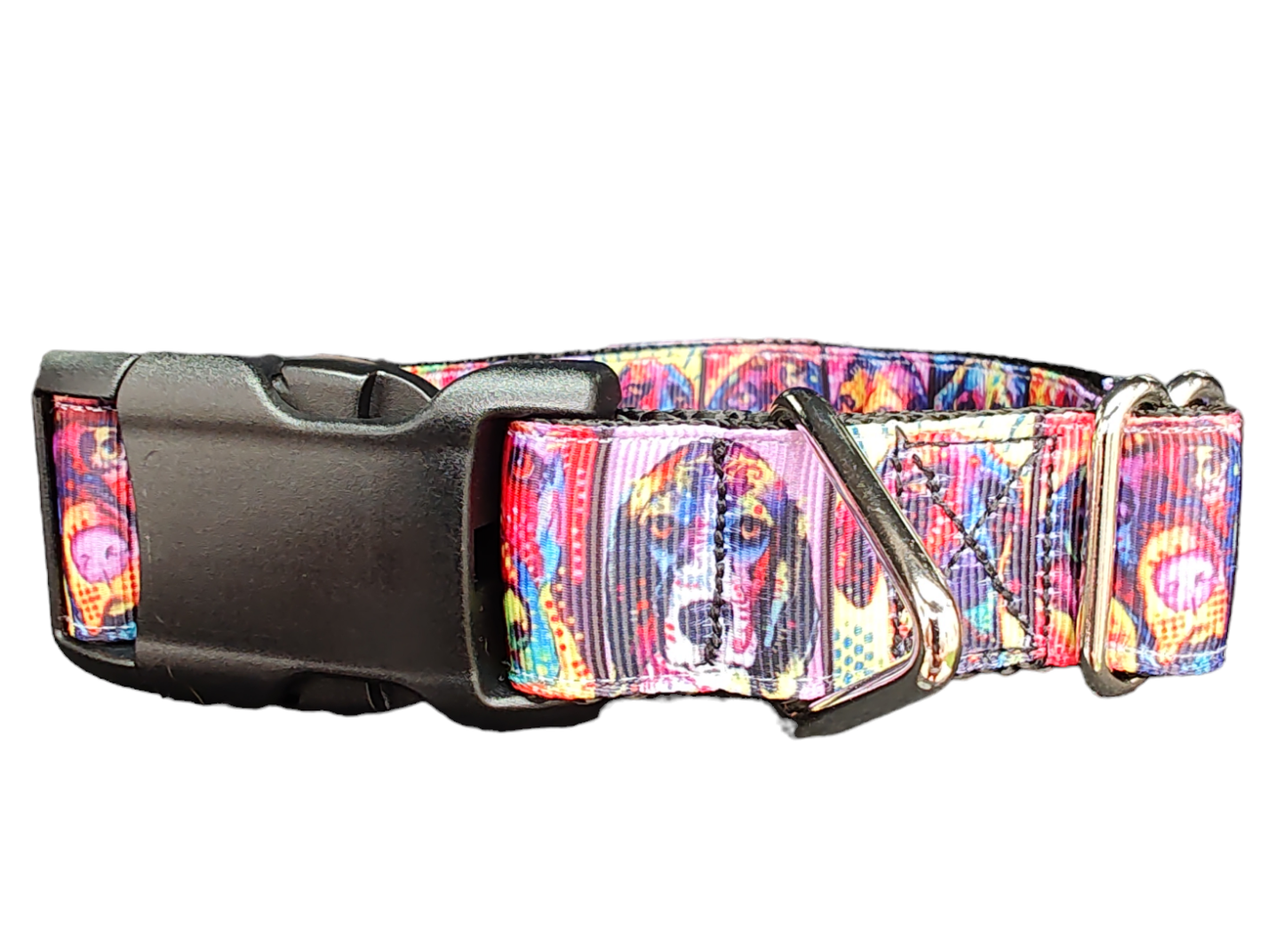Rainbow Pup Portraits Nylon Dog Collar