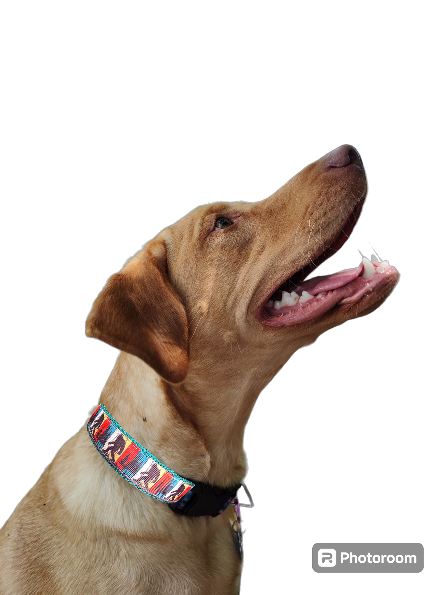 Bigfoot Sasquatch Green Nylon Dog Collar MD, LG, XL, Leash