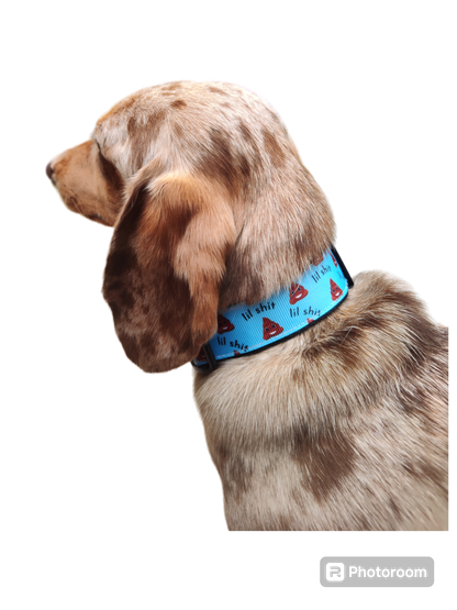 Blue Lil Shit Nylon Dog Collar MD, LG, XL, Leash