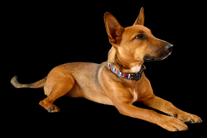 Bigfoot Sasquatch Green Nylon Dog Collar MD, LG, XL, Leash