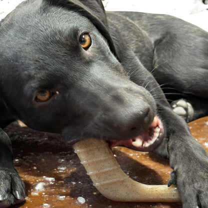 Hockey Stick Nylon Dog Chew Toy - Ultra-Durable for Aggressive Chewers USA