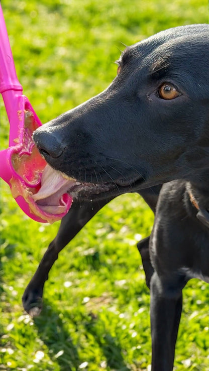 eStick Hand-Held Dog Enrichment Toy - Interactive Lick Stick | USA Made