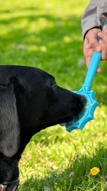 Lick Stick Hand-Held Dog Enrichment Toy - Interactive Lick Stick | USA Made