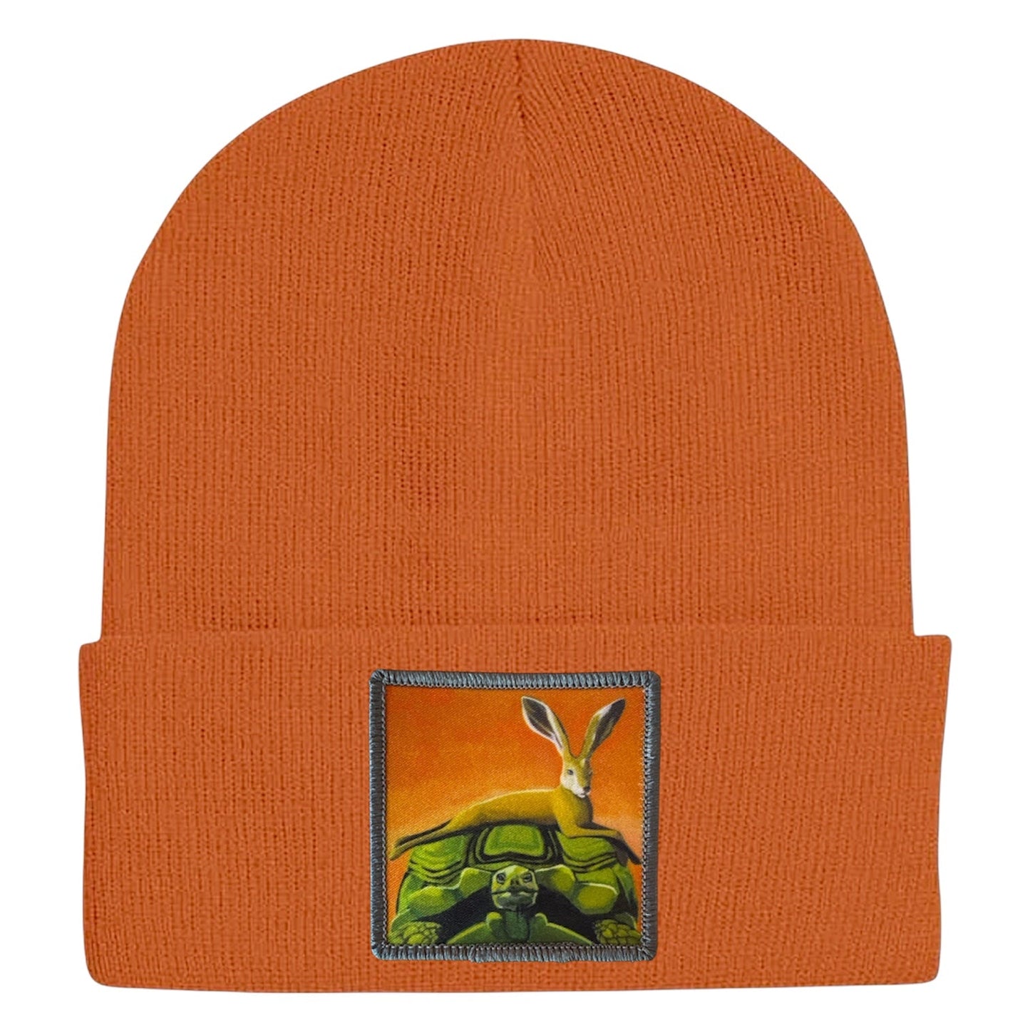 The Tortoise By a Hare Beanie