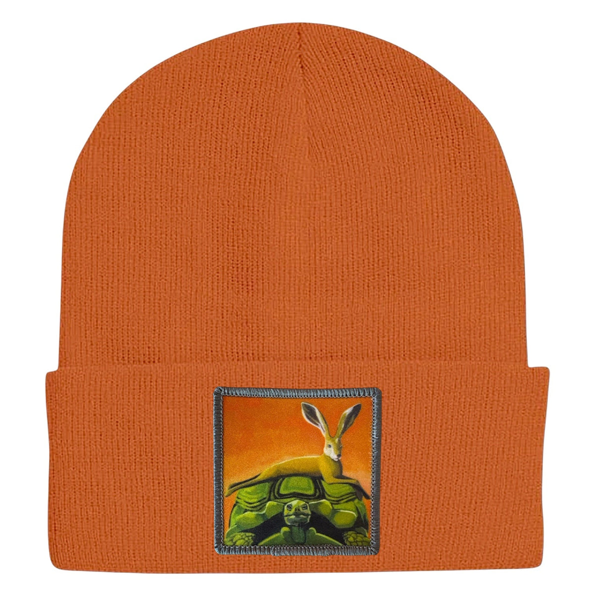 The Tortoise By a Hare Beanie
