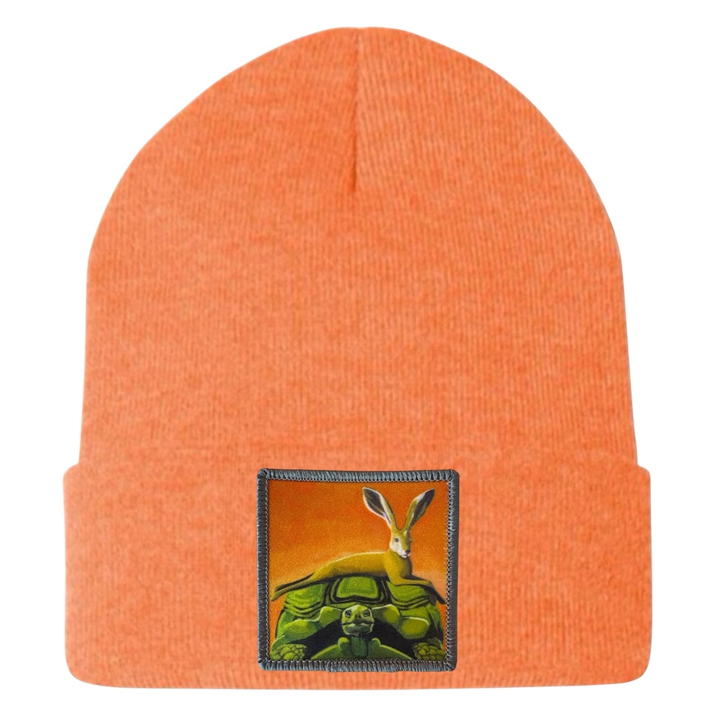 The Tortoise By a Hare Beanie