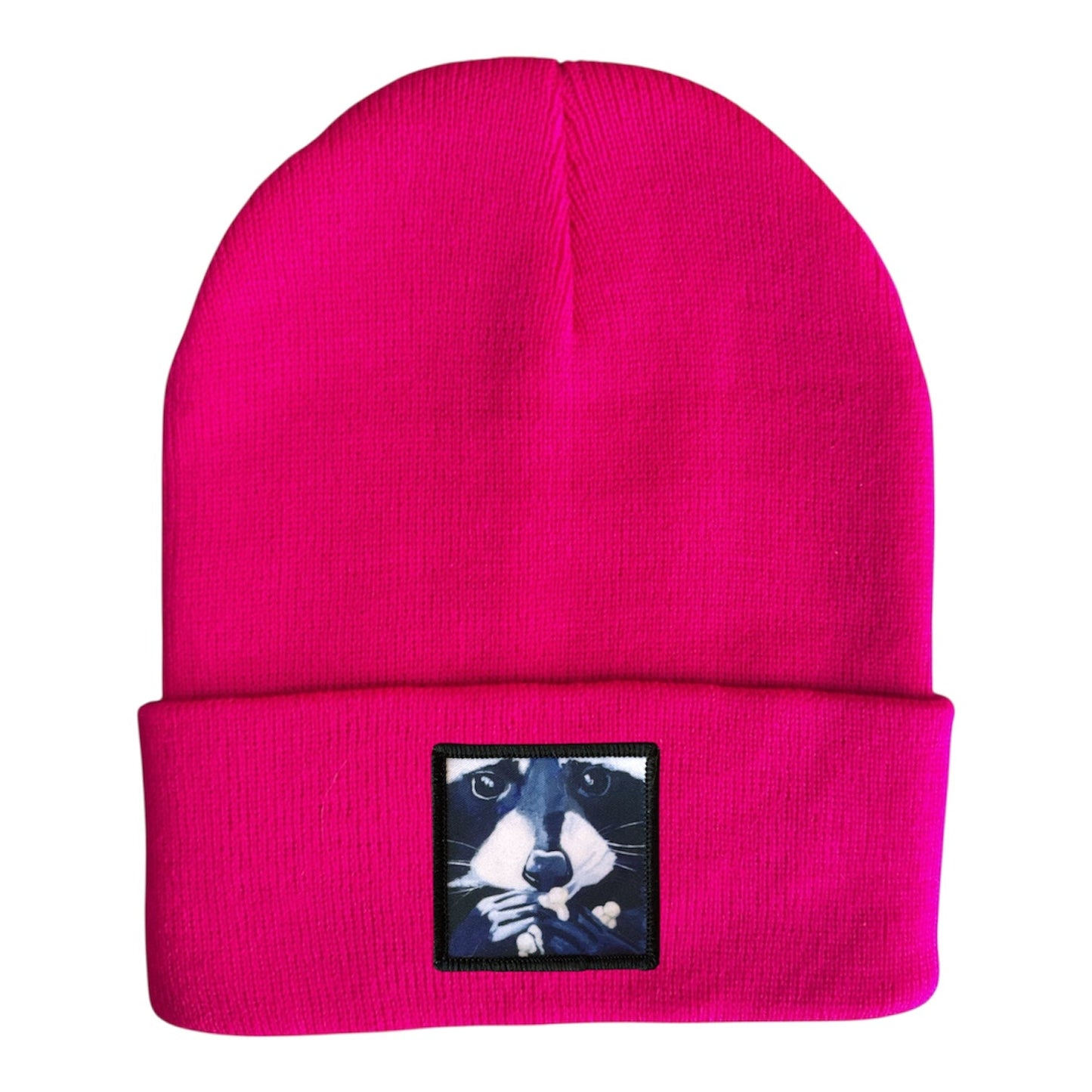 Raccoon Pop Beanie