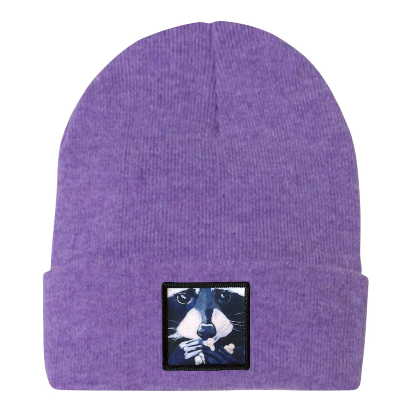 Raccoon Pop Beanie